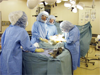 画像：手術風景２